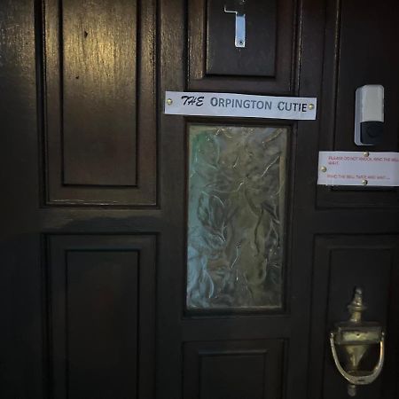 Wisdom Care: The Orpington Cutie Hotell Exteriör bild