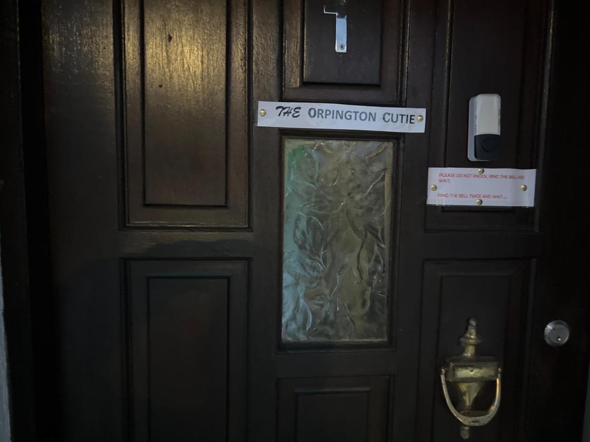 Wisdom Care: The Orpington Cutie Hotell Exteriör bild