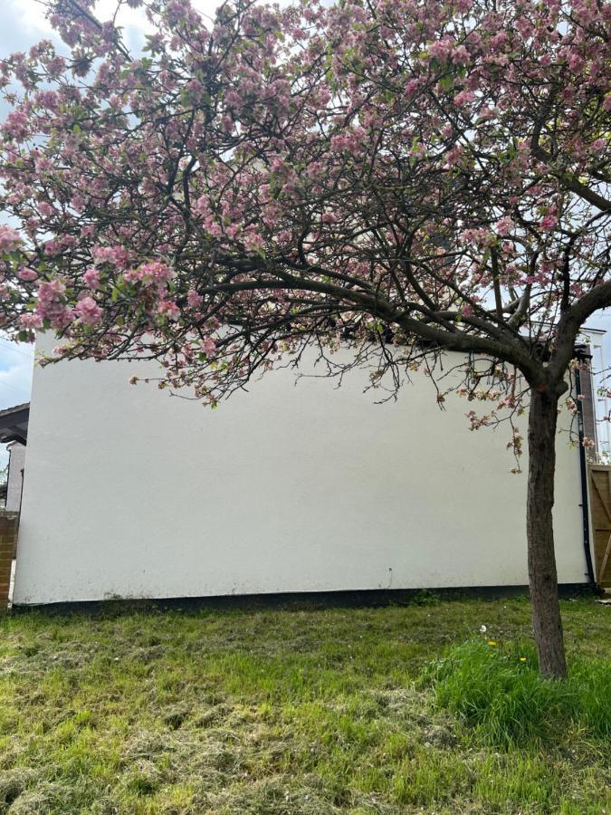 Wisdom Care: The Orpington Cutie Hotell Exteriör bild